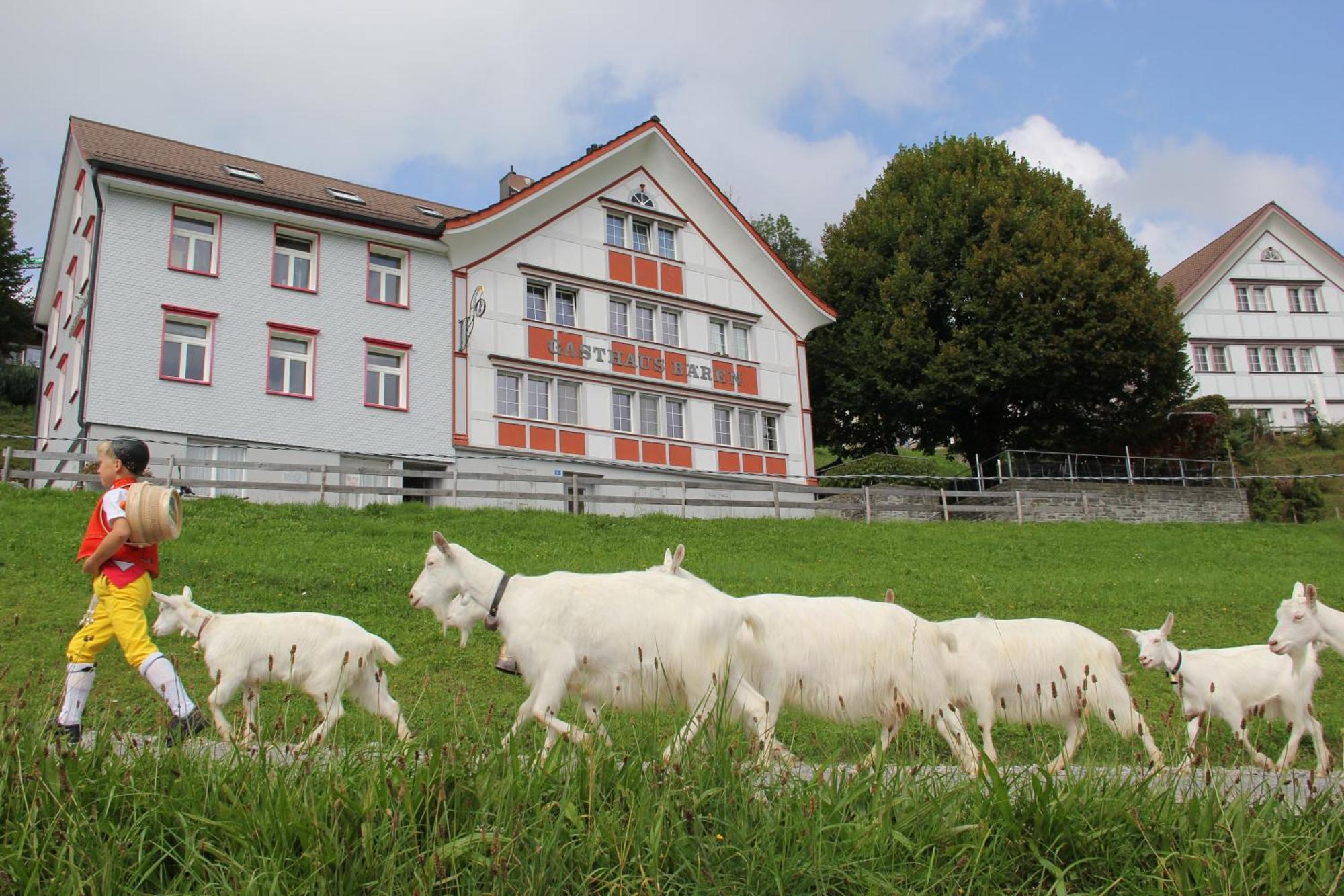 Gasthaus Baeren Schlatt Appenzell Εξωτερικό φωτογραφία